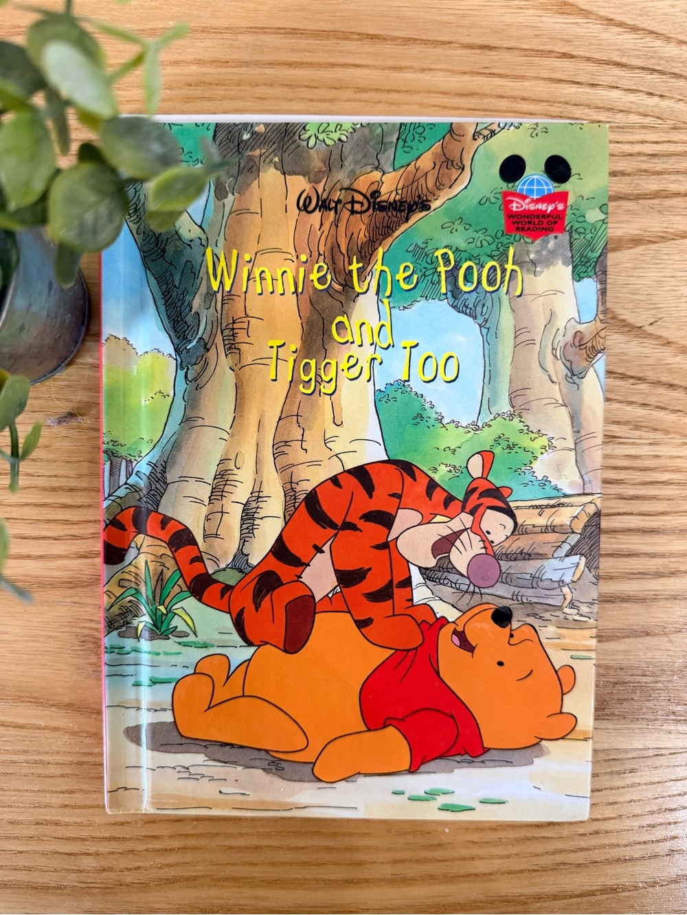 🌿10/$25 • Disneys Wonderful World of Reading Winnie The Pooh & Tigger Too